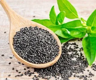 Nutritious Leafy Green and Herb Seeds